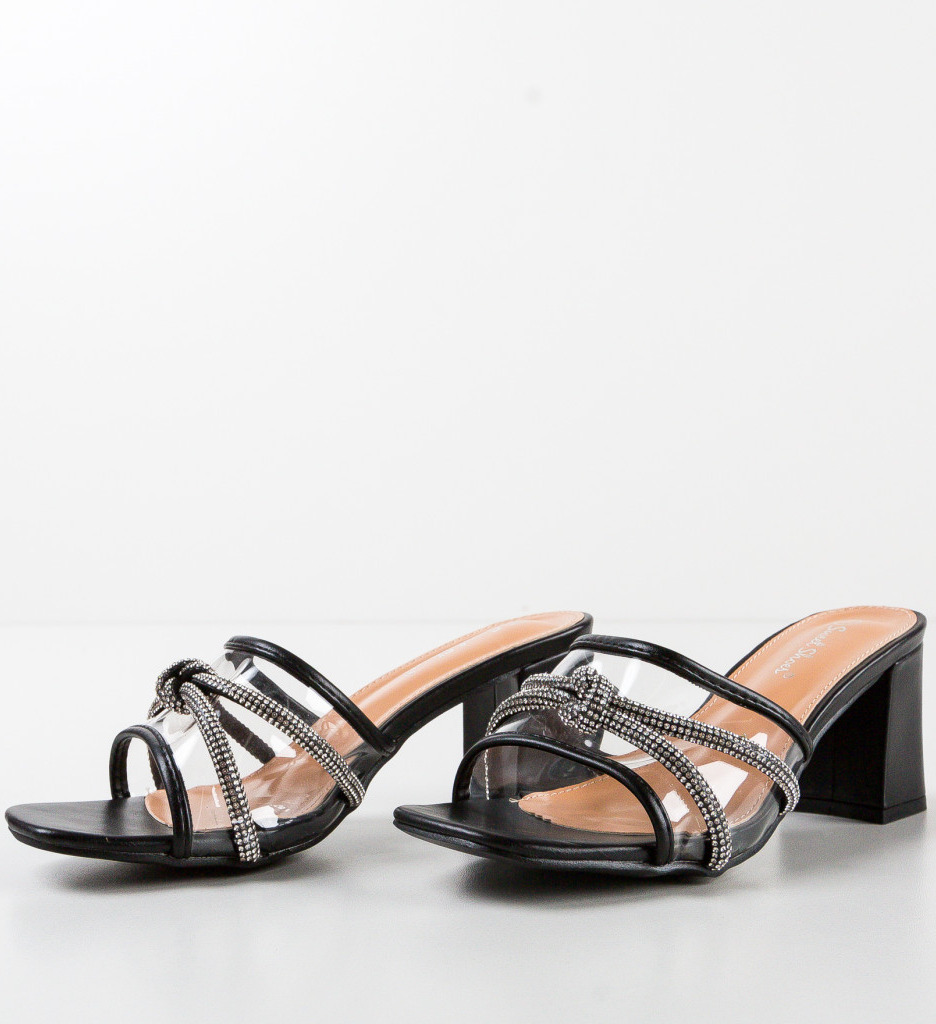 Poze Saboti dama Willie Negri depurtat.ro 