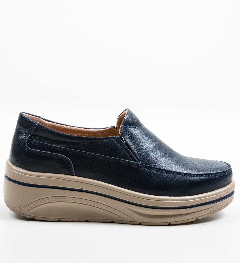 Poze Pantofi Casual Rankin Bleumarin DePurtat